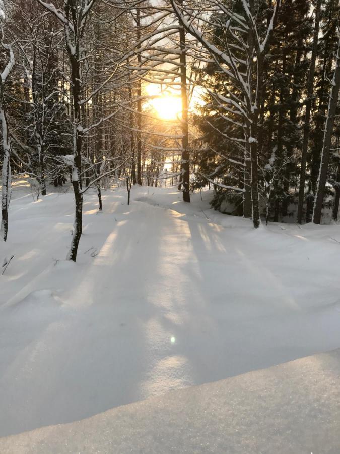 Hakuba Cottage Gram Buitenkant foto