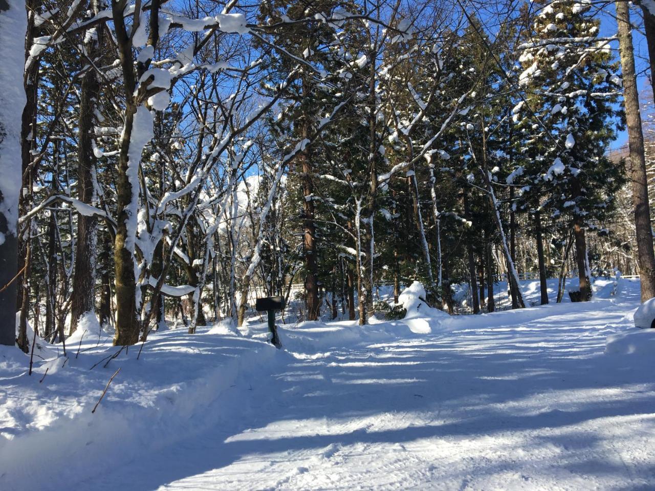 Hakuba Cottage Gram Buitenkant foto