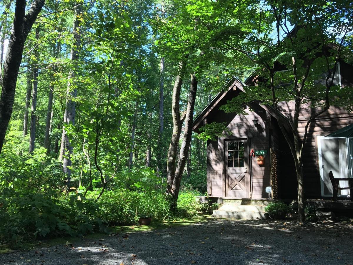 Hakuba Cottage Gram Buitenkant foto